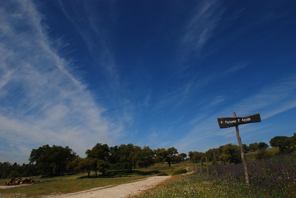 Monte Do Areeiro Villa Coruche Kültér fotó